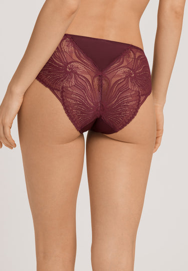 Lilith Lace Trim Hi-Cut Briefs | Vivid Brown 70841-2421